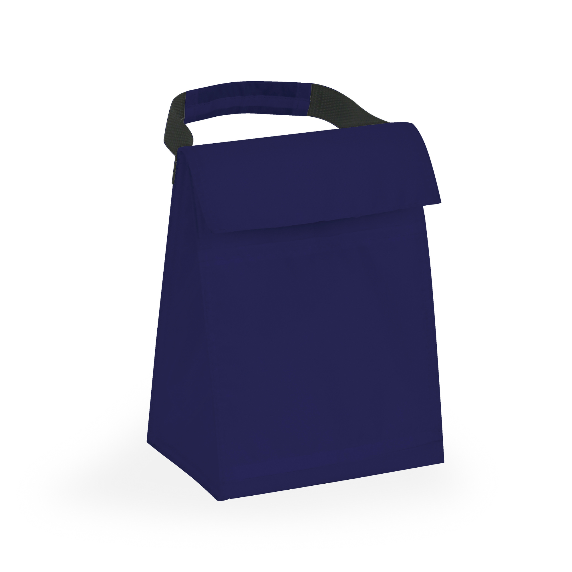Budget Cooler Bag With Grip