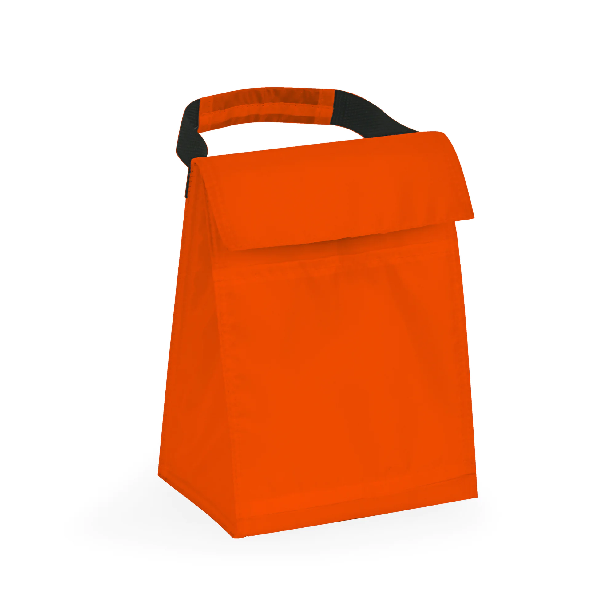 Budget Cooler Bag With Grip