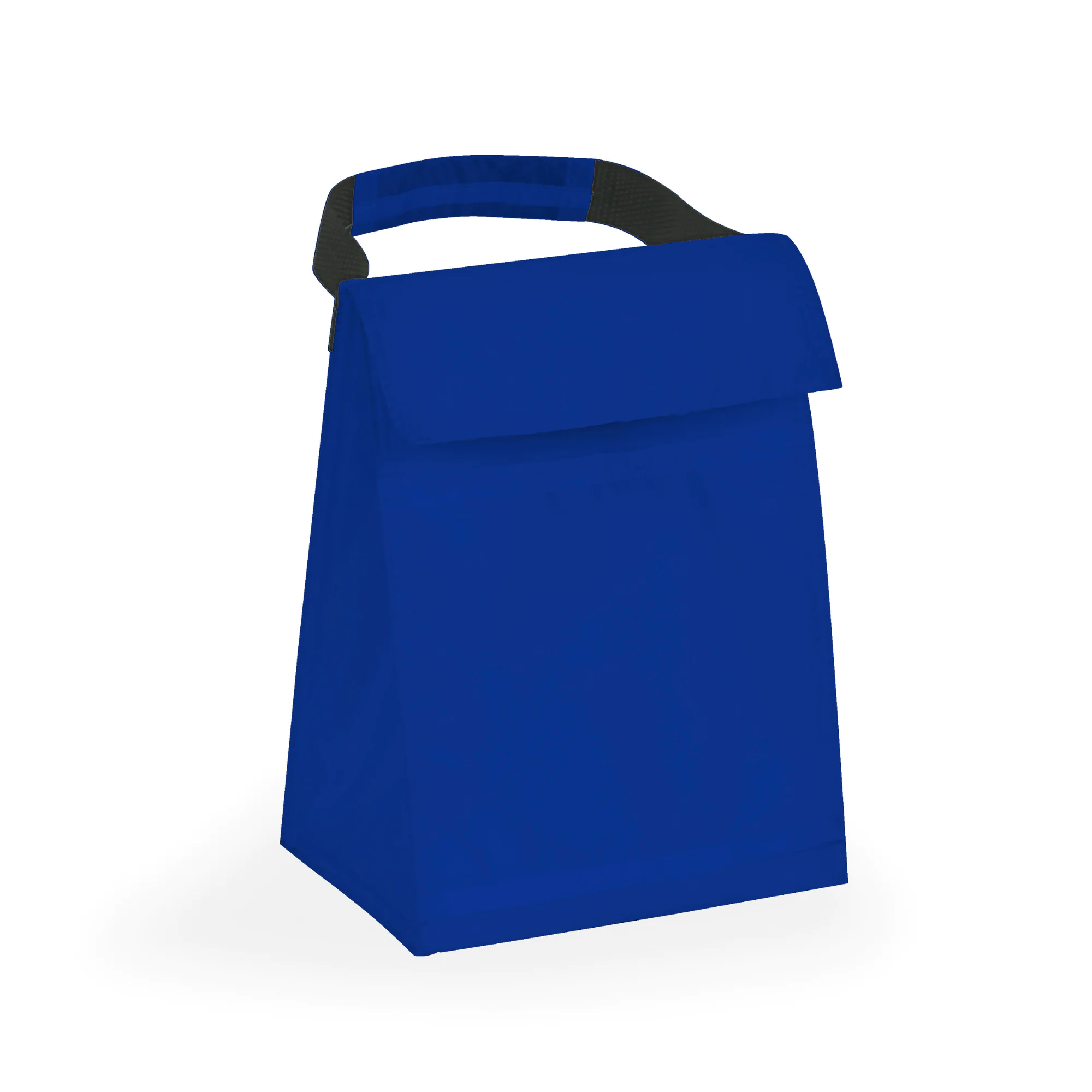 Budget Cooler Bag With Grip