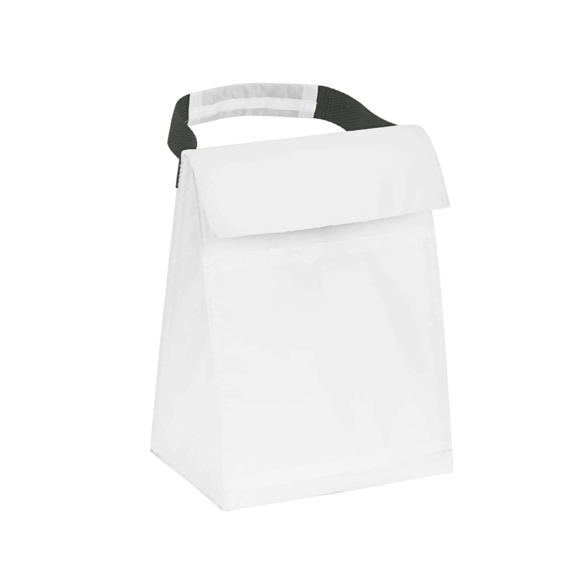 Budget Cooler Bag With Grip