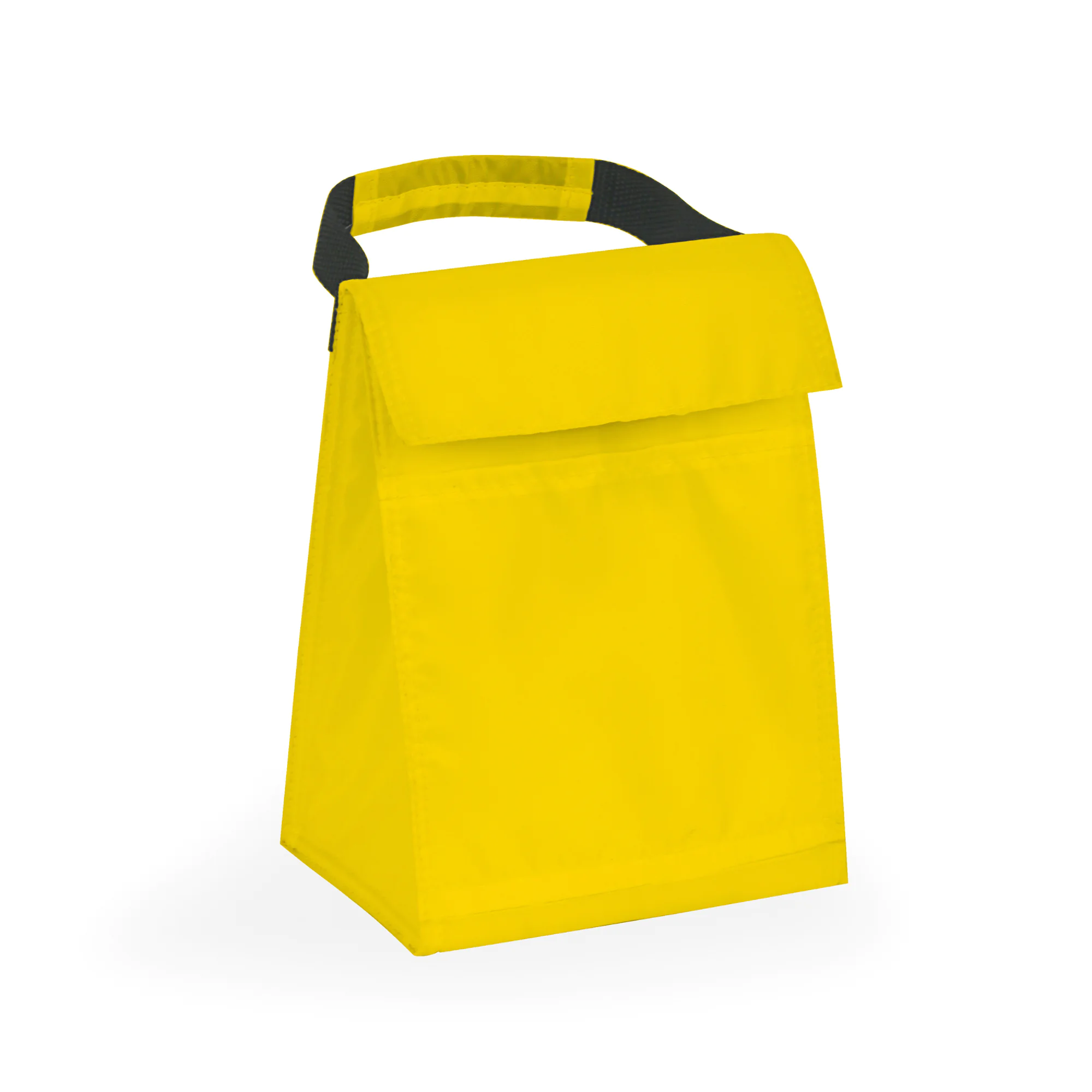 Budget Cooler Bag With Grip