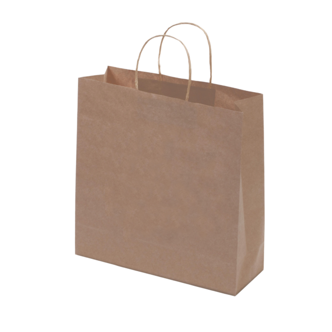 Kraft Paper Bag Brown Large Includes Twisted Paper Handle
