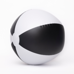 Beach Ball - 20cm