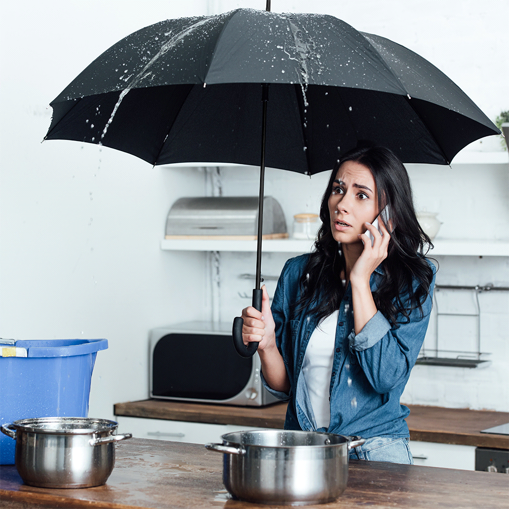 Auto Open Colourised Fashion Umbrella