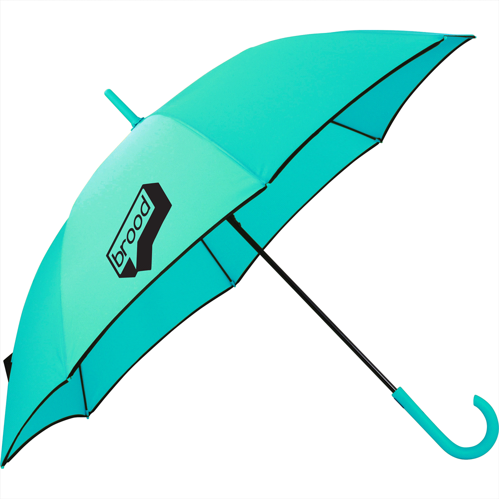 Auto Open Colourised Fashion Umbrella