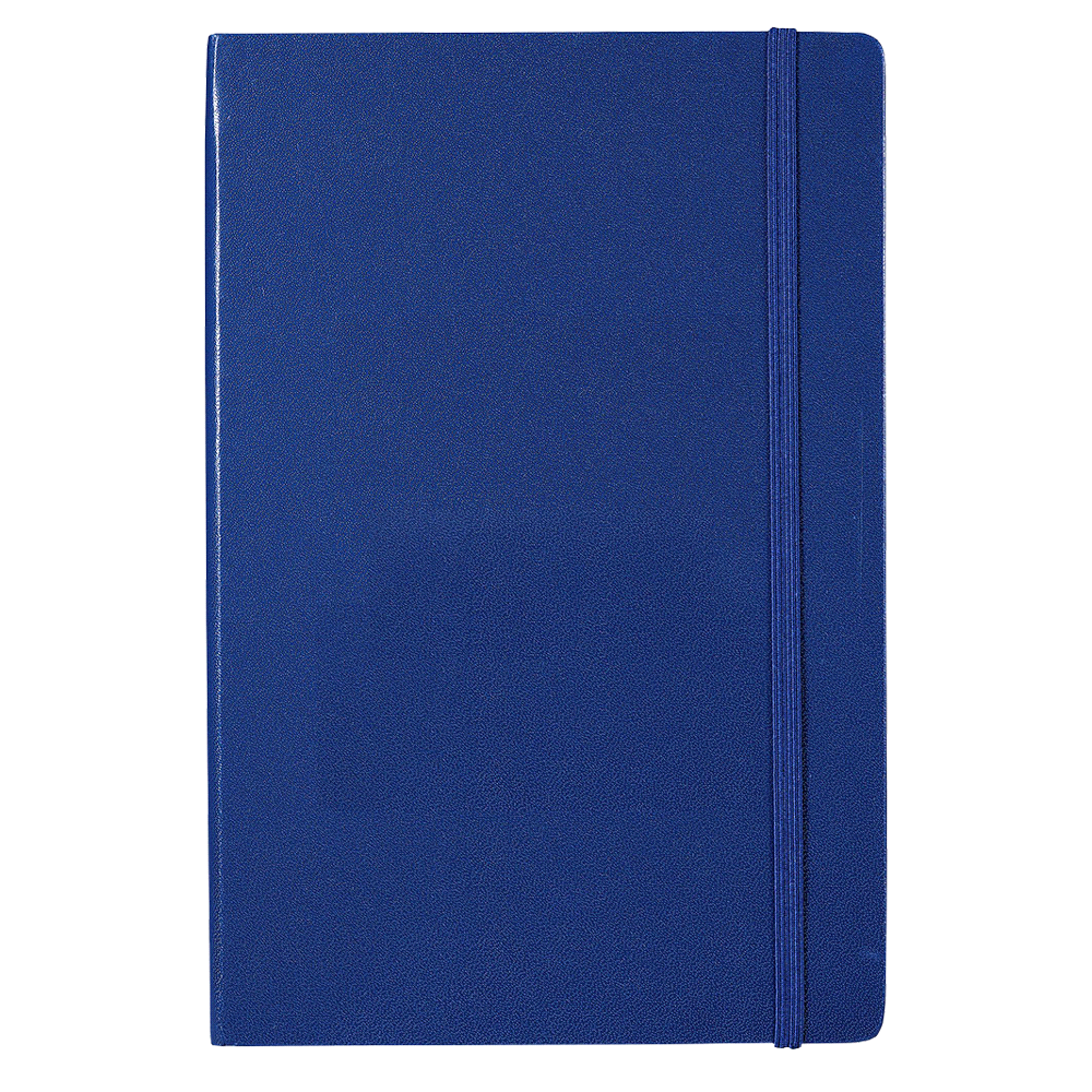 Ambassador Bound JournalBook Ryl