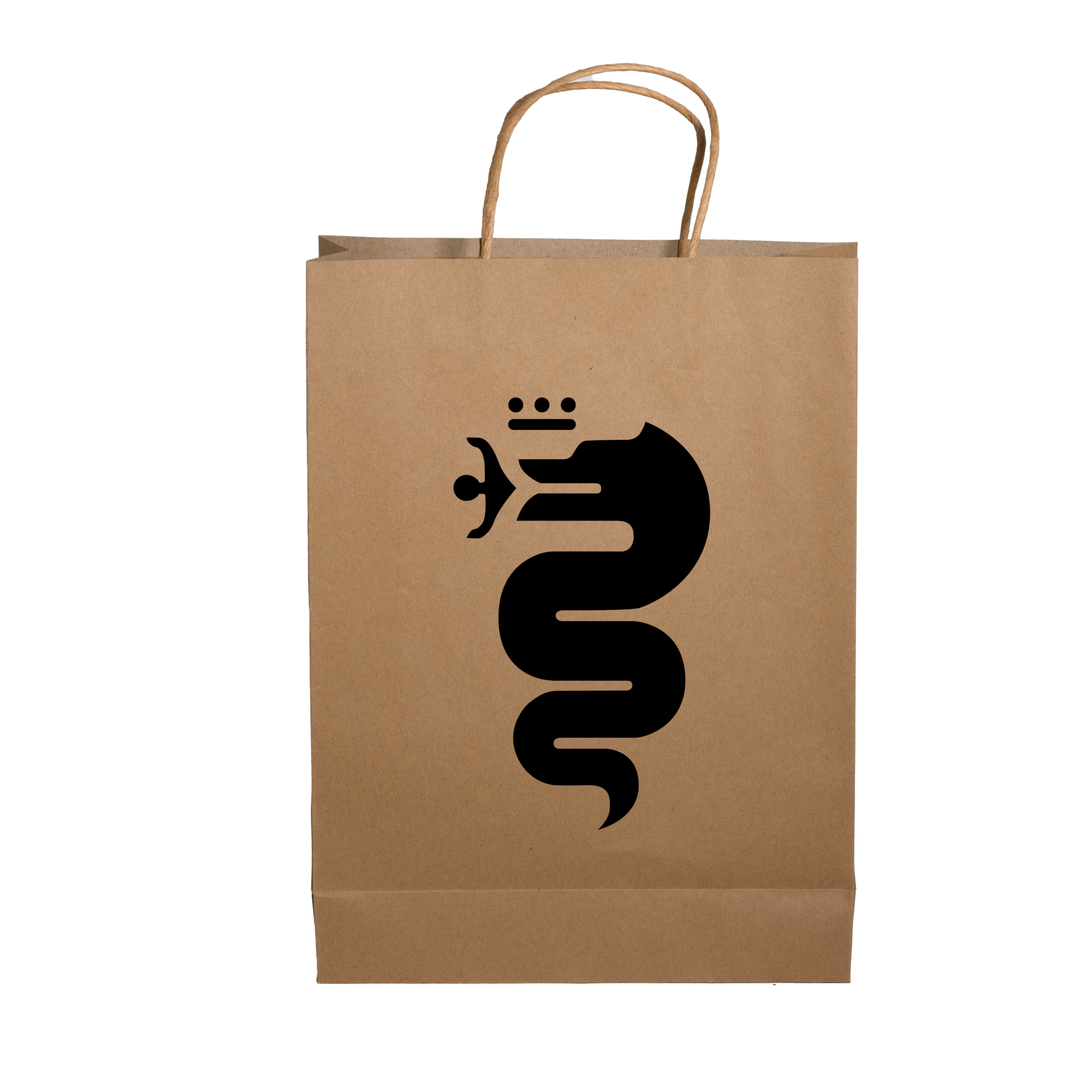 Paper Show Bag