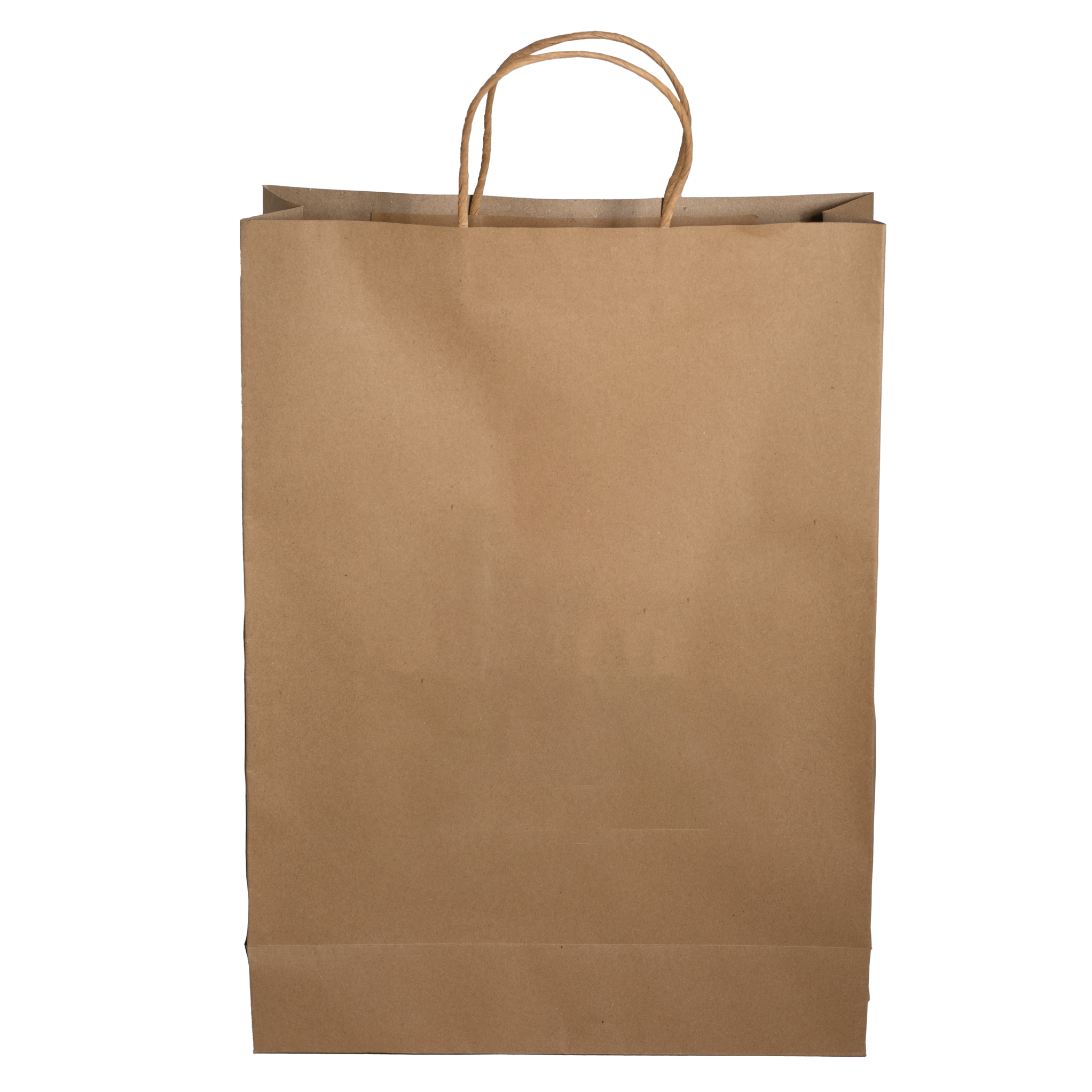Paper Shopping Bag