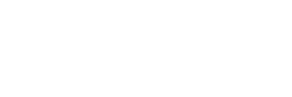 Flywire