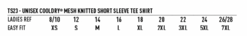 Ladies Cotton T-Shirt