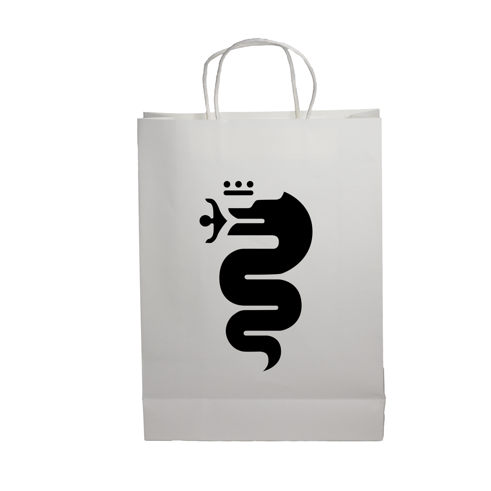Paper Show Bag