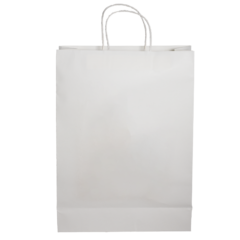 Paper Shopping Bag