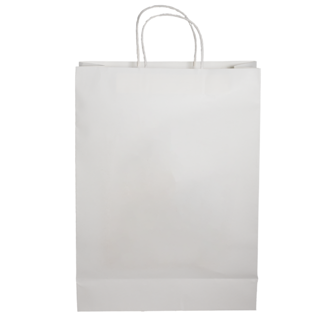 Paper Shopping Bag